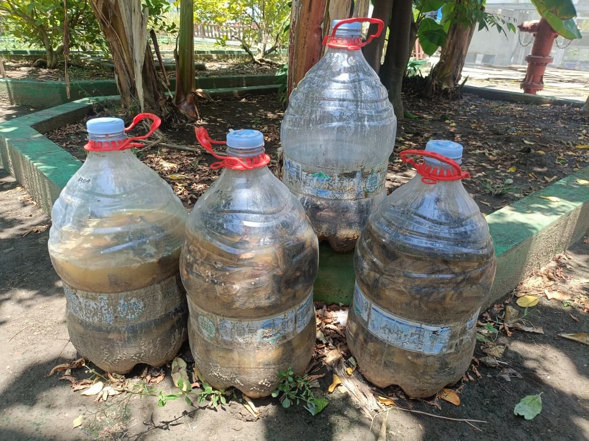 Pengelolaan Sampah Daun menjadi Pupuk