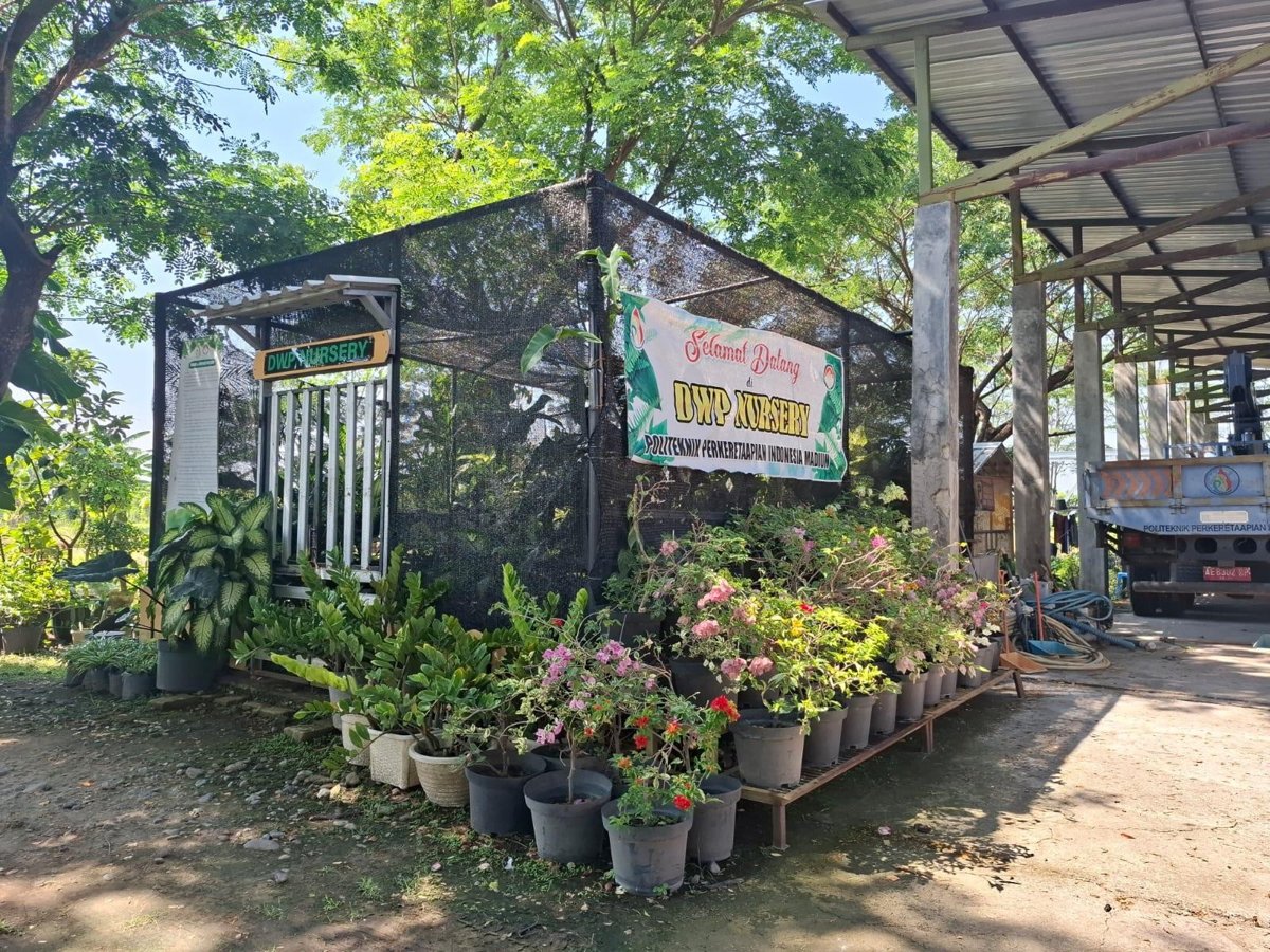DWP Garden